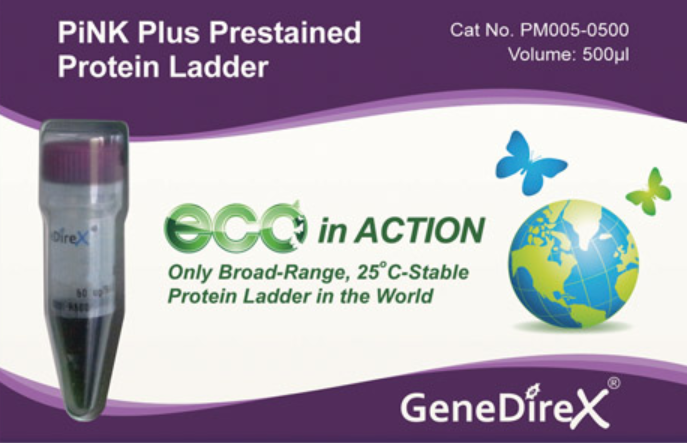 pink-plus-prestained-protein-ladder-taqkey-science
