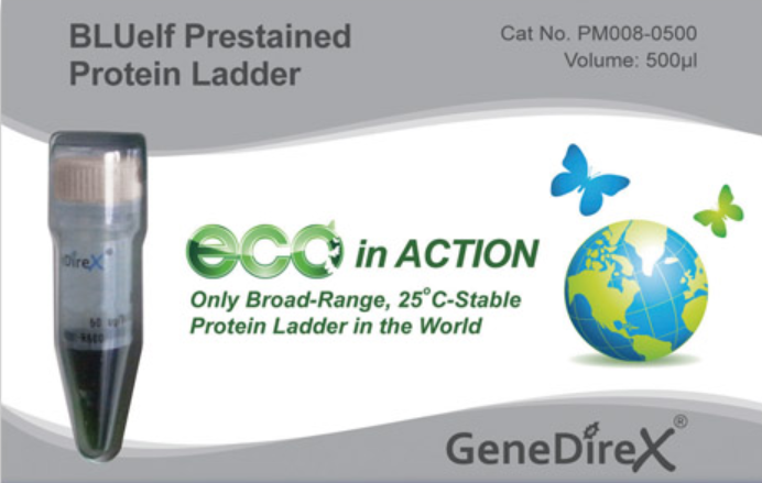 BLUelf Prestained Protein Ladder - TAQKEY Science 德怡科技